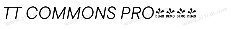 TT COMMONS PRO字体转换